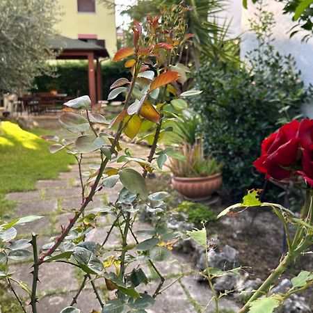Villa Vomano La Casa Di Gemma B&B מראה חיצוני תמונה
