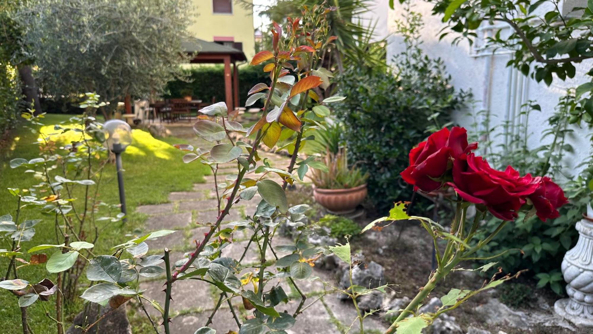 Villa Vomano La Casa Di Gemma B&B מראה חיצוני תמונה